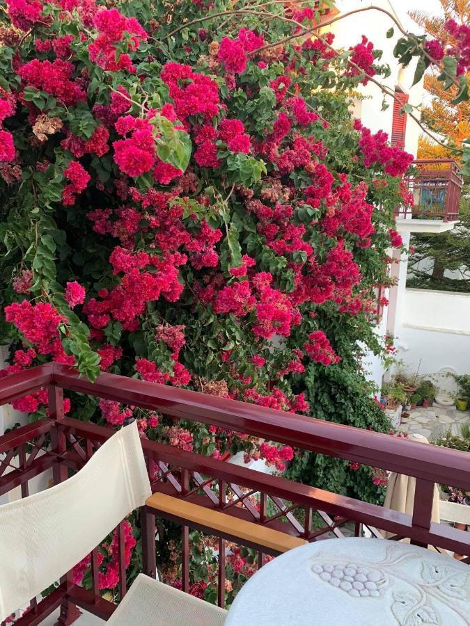 Akrogiali Hotel Agios Sostis  Extérieur photo